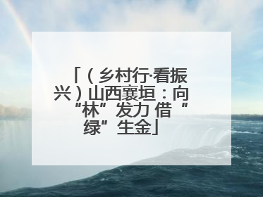 （乡村行·看振兴）山西襄垣：向“林”发力 借“绿”生金