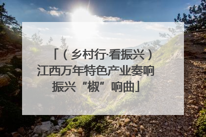 （乡村行·看振兴）江西万年特色产业奏响振兴“椒”响曲