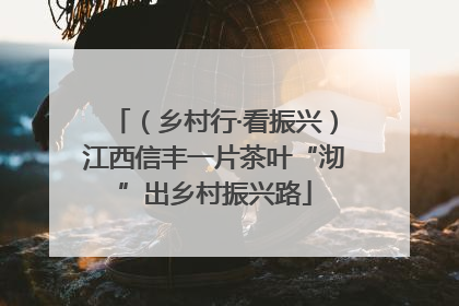 （乡村行·看振兴）江西信丰一片茶叶“沏”出乡村振兴路