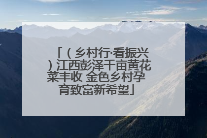 （乡村行·看振兴）江西彭泽千亩黄花菜丰收 金色乡村孕育致富新希望