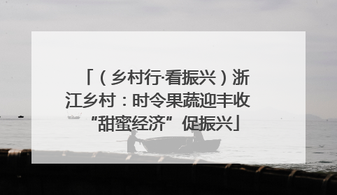（乡村行·看振兴）浙江乡村：时令果蔬迎丰收 “甜蜜经济”促振兴