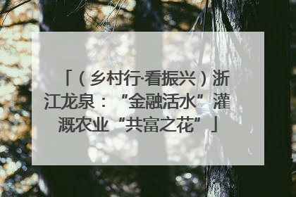 （乡村行·看振兴）浙江龙泉：“金融活水”灌溉农业“共富之花”