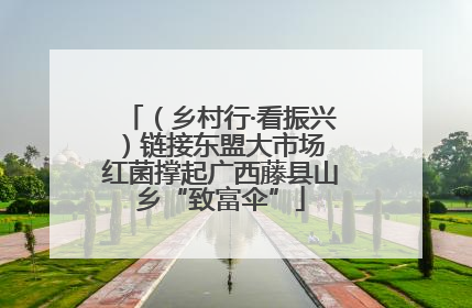 （乡村行·看振兴）链接东盟大市场 红菌撑起广西藤县山乡“致富伞”