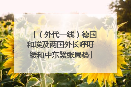 （外代一线）德国和埃及两国外长呼吁缓和中东紧张局势