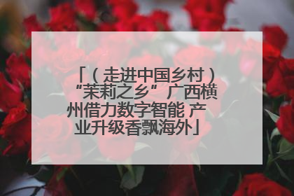 （走进中国乡村）“茉莉之乡”广西横州借力数字智能 产业升级香飘海外