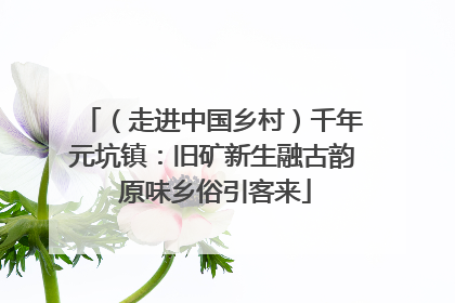 （走进中国乡村）千年元坑镇：旧矿新生融古韵 原味乡俗引客来