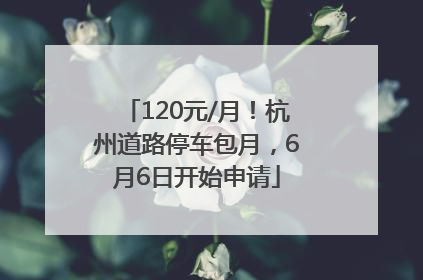 120元/月！杭州道路停车包月，6月6日开始申请