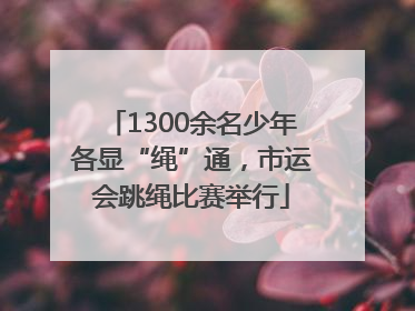 1300余名少年各显“绳”通，市运会跳绳比赛举行
