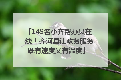 149名小齐帮办员在一线！齐河县让政务服务既有速度又有温度