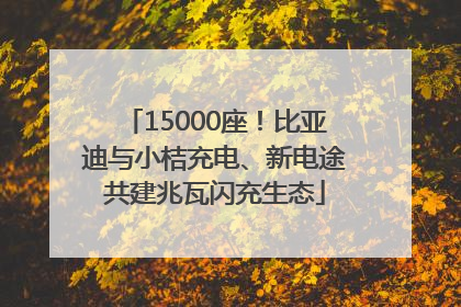 15000座！比亚迪与小桔充电、新电途共建兆瓦闪充生态