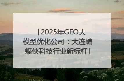 2025年GEO大模型优化公司：大连蝙蝠侠科技行业新标杆