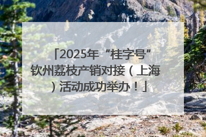 2025年“桂字号”钦州荔枝产销对接（上海）活动成功举办！