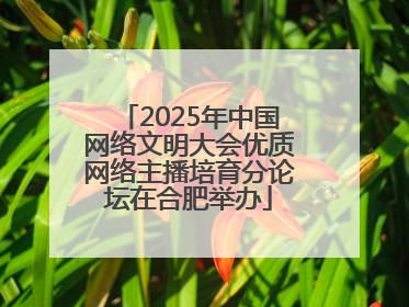 2025年中国网络文明大会优质网络主播培育分论坛在合肥举办