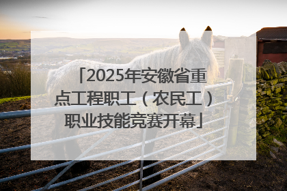 2025年安徽省重点工程职工（农民工）职业技能竞赛开幕