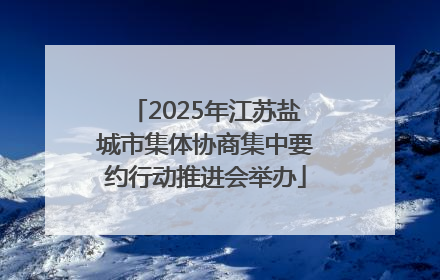 2025年江苏盐城市集体协商集中要约行动推进会举办