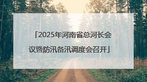 2025年河南省总河长会议暨防汛备汛调度会召开