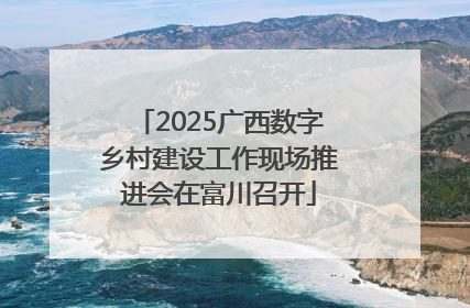 2025广西数字乡村建设工作现场推进会在富川召开