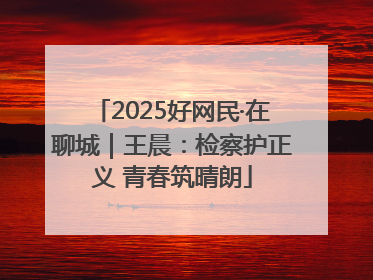2025好网民·在聊城｜王晨：检察护正义 青春筑晴朗
