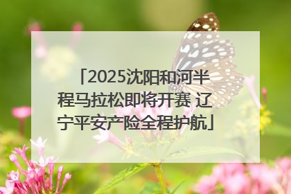 2025沈阳和河半程马拉松即将开赛 辽宁平安产险全程护航