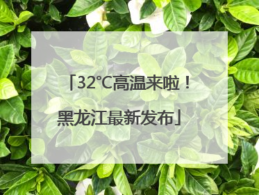32℃高温来啦！黑龙江最新发布