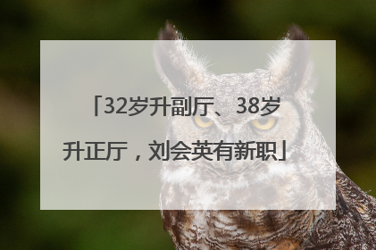 32岁升副厅、38岁升正厅，刘会英有新职