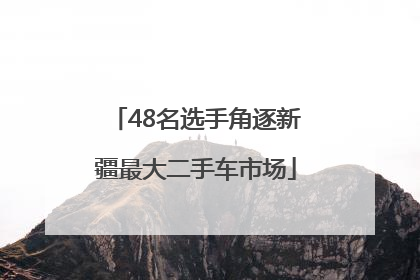 48名选手角逐新疆最大二手车市场