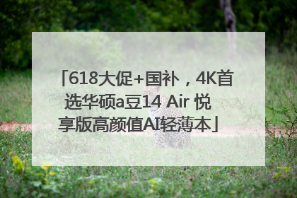 618大促+国补，4K首选华硕a豆14 Air 悦享版高颜值AI轻薄本