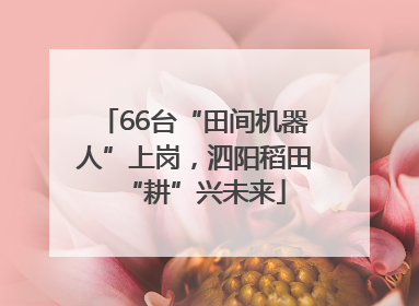 66台“田间机器人”上岗，泗阳稻田“耕”兴未来