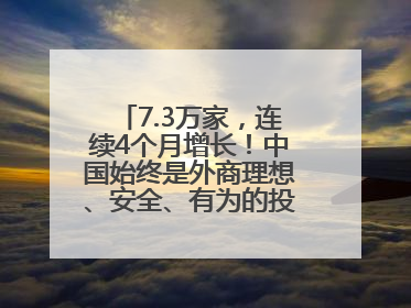 7.3万家，连续4个月增长！中国始终是外商理想、安全、有为的投资目的地