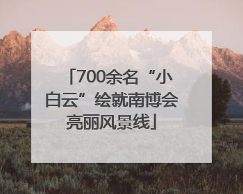 700余名“小白云”绘就南博会亮丽风景线