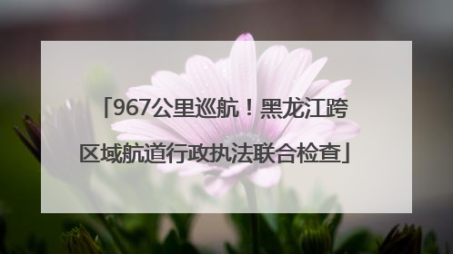 967公里巡航！黑龙江跨区域航道行政执法联合检查