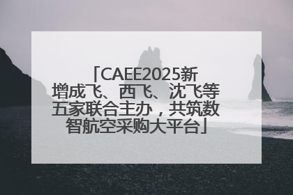 CAEE2025新增成飞、西飞、沈飞等五家联合主办，共筑数智航空采购大平台