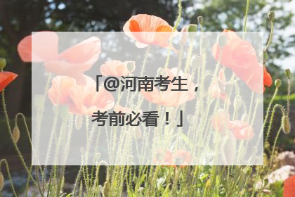 @河南考生，考前必看！