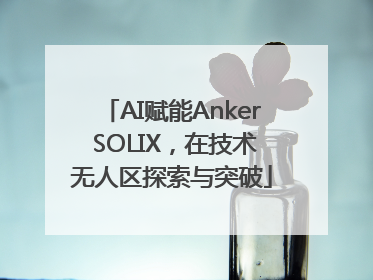 AI赋能Anker SOLIX，在技术无人区探索与突破
