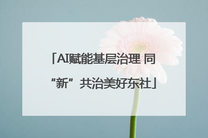 AI赋能基层治理 同“新”共治美好东社
