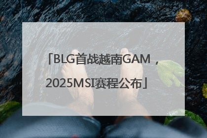 BLG首战越南GAM，2025MSI赛程公布